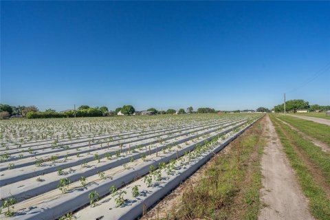 Land in Plant City, Florida № 1085400 - photo 15