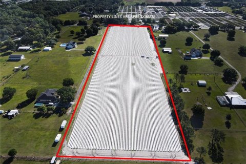 Land in Plant City, Florida № 1085400 - photo 4