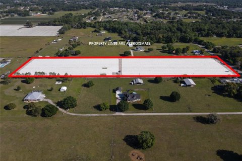 Land in Plant City, Florida № 1085400 - photo 5