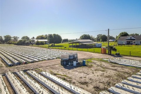 Land in Plant City, Florida № 1085400 - photo 10