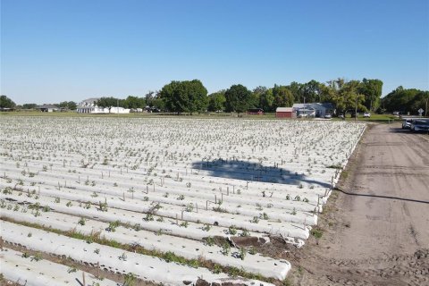 Land in Plant City, Florida № 1085400 - photo 13