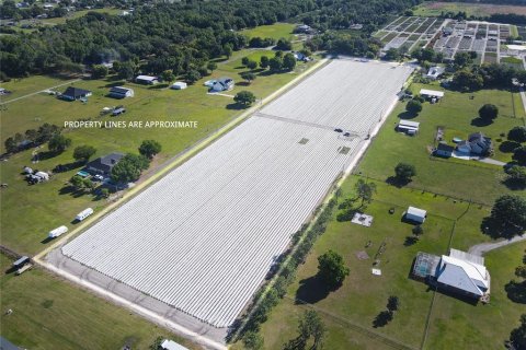 Land in Plant City, Florida № 1085400 - photo 1