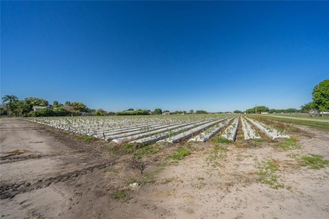 Land in Plant City, Florida № 1085400 - photo 16