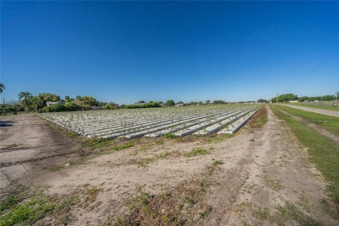 Land in Plant City, Florida № 1085400 - photo 14