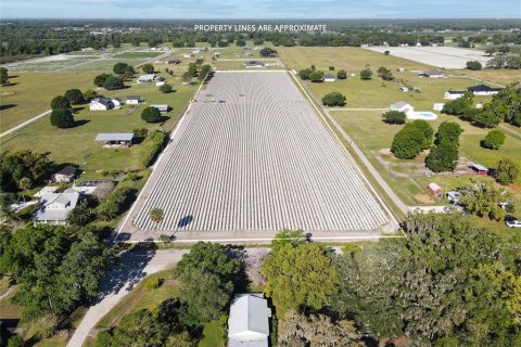 Land in Plant City, Florida № 1085400 - photo 6