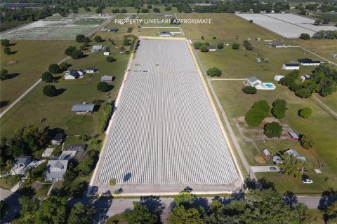 Land in Plant City, Florida № 1085400 - photo 8
