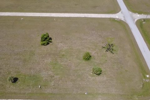 Land in Placida, Florida № 2202949 - photo 2