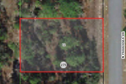 Land in Citrus Springs, Florida № 2223958