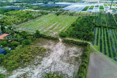 Immobilier commercial à vendre à Homestead, Floride № 1959009 - photo 15