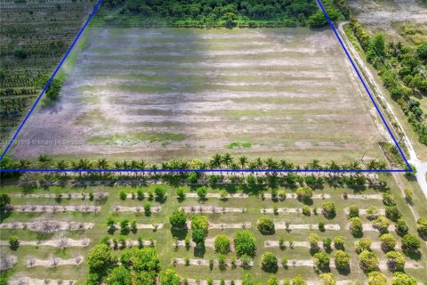 Immobilier commercial à vendre à Homestead, Floride № 1959009 - photo 21