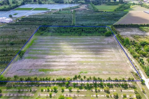 Immobilier commercial à vendre à Homestead, Floride № 1959009 - photo 19