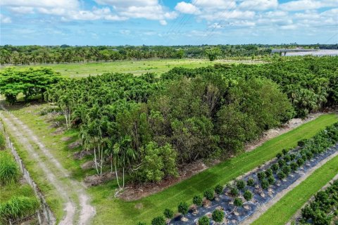 Immobilier commercial à vendre à Homestead, Floride № 1959009 - photo 9