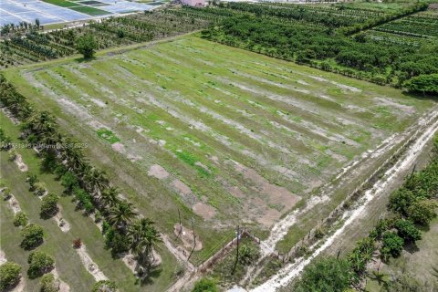 Immobilier commercial à vendre à Homestead, Floride № 1959009 - photo 5