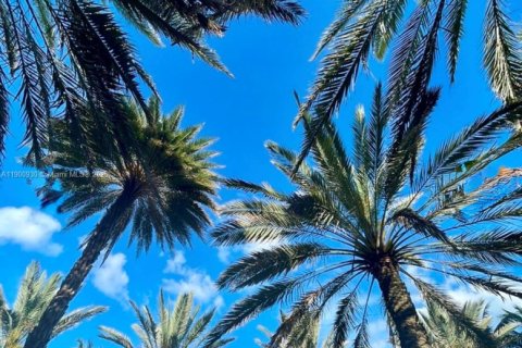 Appartement à louer à Miami Beach, Floride: 41.81 m2 № 1952205 - photo 20