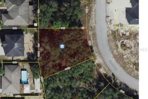 Land in Kissimmee, Florida № 2162852