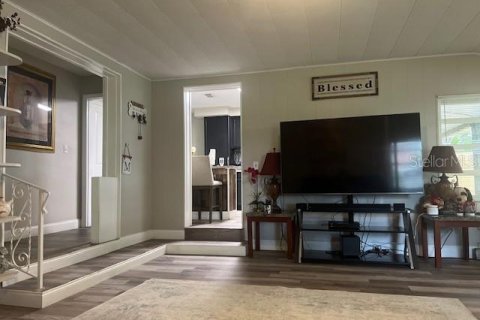 Villa ou maison à vendre à Wauchula, Floride: 4 chambres, 268.95 m2 № 1848409 - photo 24