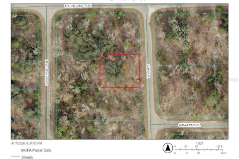 Land in Ocklawaha, Florida № 2165599