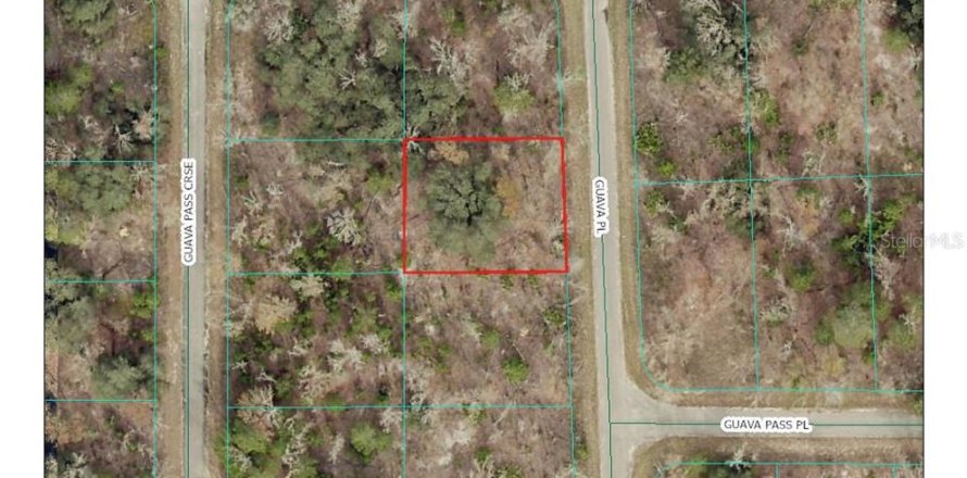 Land in Ocklawaha, Florida № 2165599