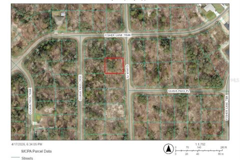 Land in Ocklawaha, Florida № 2165599 - photo 2