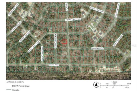 Land in Ocklawaha, Florida № 2165599 - photo 3