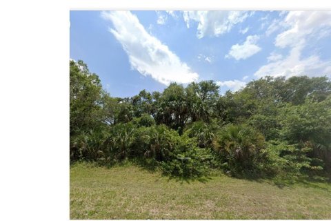 Terreno en venta en LaBelle, Florida № 2158681 - foto 2