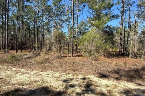 Land in Dunnellon, Florida № 2227959 - photo 4