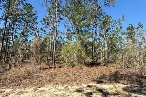 Land in Dunnellon, Florida № 2227959 - photo 2