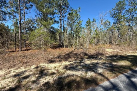 Land in Dunnellon, Florida № 2227959 - photo 3