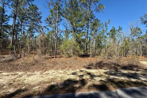 Land in Dunnellon, Florida № 2227959