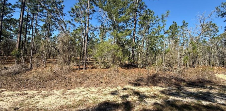Land in Dunnellon, Florida № 2227959