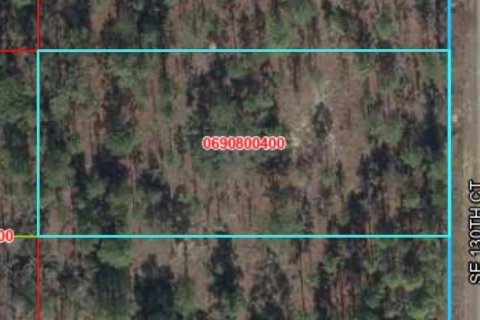 Land in Dunnellon, Florida № 2227959 - photo 5