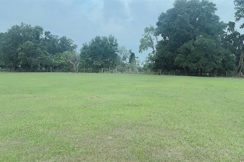 Villa ou maison à vendre à Thonotosassa, Floride: 3 chambres, 185.8 m2 № 2147924 - photo 7