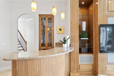 Villa ou maison à louer à Tampa, Floride: 4 chambres, 499.54 m2 № 1853347 - photo 22