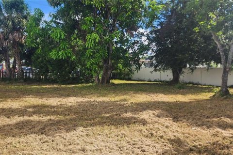 Terreno en venta en Tampa, Florida № 1910445 - foto 3