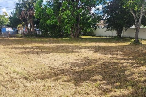 Terreno en venta en Tampa, Florida № 1910445 - foto 2