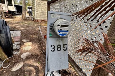 Купить земельный участок в Солт Спрингс, Флорида № 2113225 - фото 6