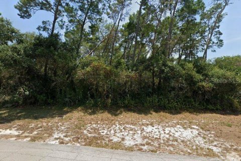 Terrain à Deltona, Floride № 2106768