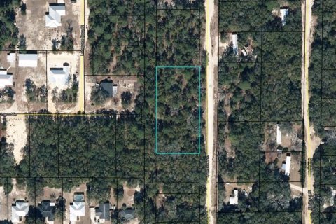 Land in Keystone Heights, Florida № 2355177