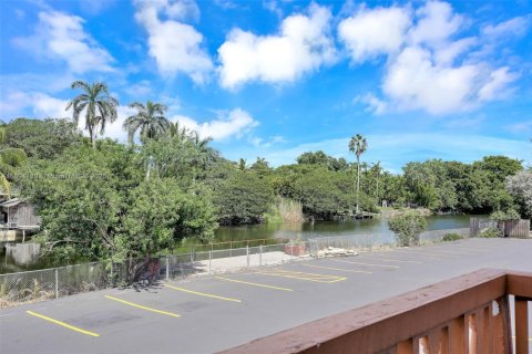 Appartement à louer à North Miami, Floride: 1 chambre, 69.68 m2 № 1947181 - photo 11