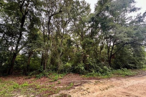 Land in Chiefland, Florida № 2165118 - photo 4