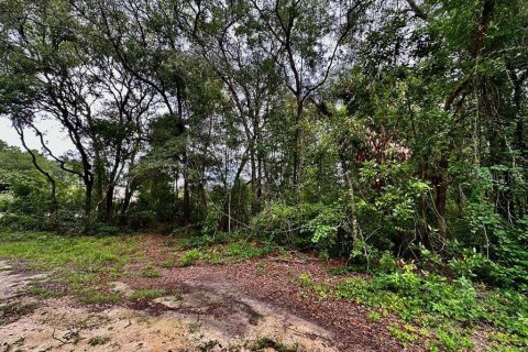 Land in Chiefland, Florida № 2165118 - photo 5
