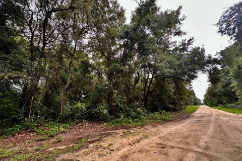 Land in Chiefland, Florida № 2165118