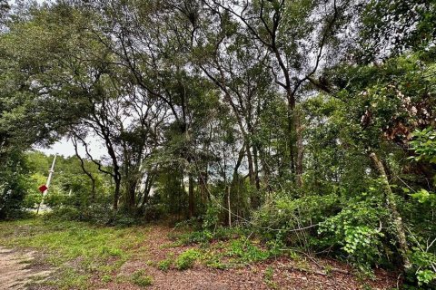 Land in Chiefland, Florida № 2165118 - photo 3