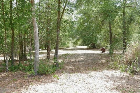 Terrain à vendre à Spring Hill, Floride № 2211639 - photo 5