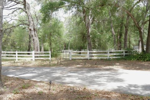 Terrain à vendre à Spring Hill, Floride № 2211639 - photo 3