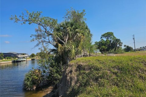 Terreno en venta en Cape Coral, Florida № 1642943 - foto 2