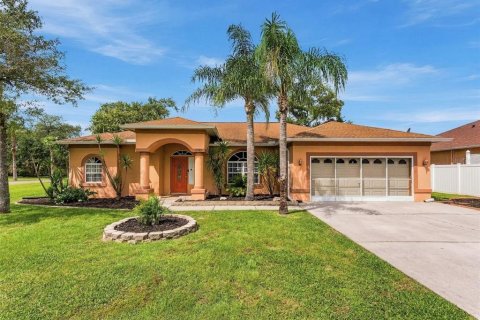 Villa ou maison à Brooksville, Floride 3 chambres, 199.74 m2 № 2400232