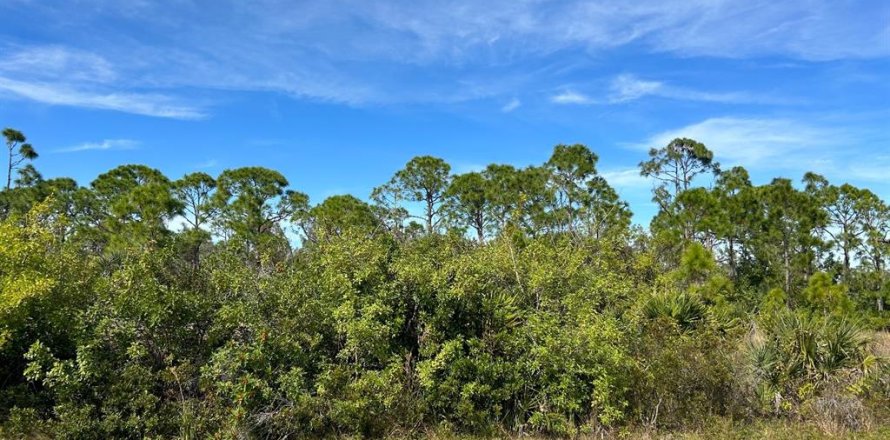 Land in Port Charlotte, Florida № 2162659