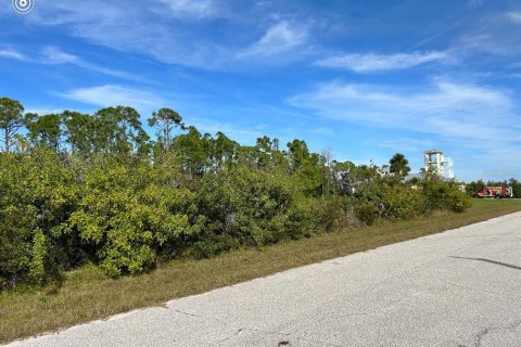 Land in Port Charlotte, Florida № 2162659 - photo 2