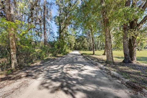 House in Archer, Florida 2 bedrooms, 124.86 sq.m. № 2429265 - photo 4